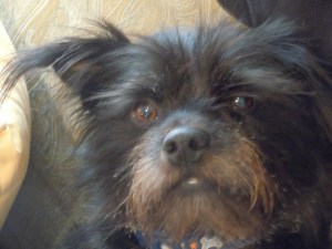 Buddy....a bit camera shy!